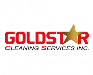 precise-technology-solutions-web-development-goldstar-cleaning-services-logo-design